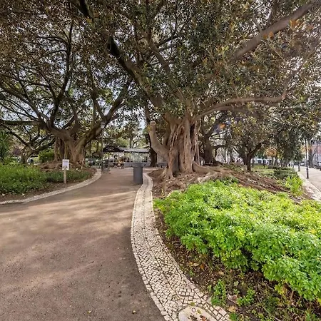 Whome The Loft In Principe Real Διαμέρισμα *